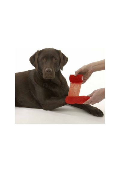 Yapışkanlı Bandaj 10 cm x 4.5 M - Kırmızı