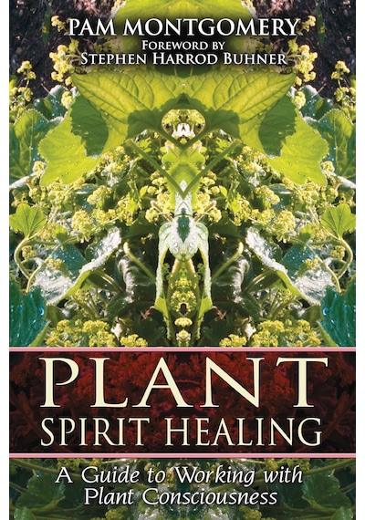 Plant Spirit Healing: A Guide To Working With Plant Consciousness Kapak Resmi Değişebilir