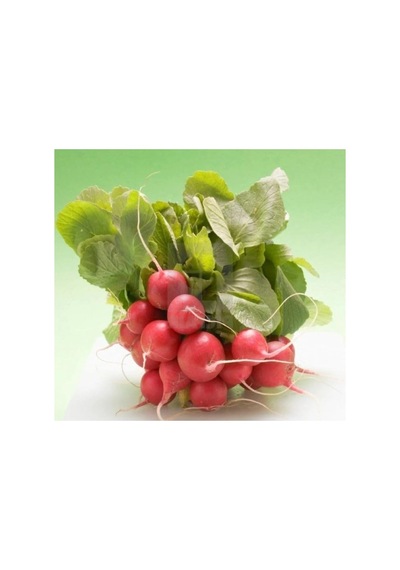 Fındık Turp Tohumu - 5 Gram