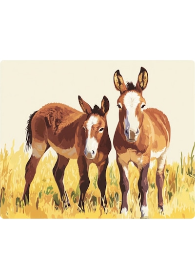 Eşekler Baskılı Mousepad 17,5x21,5 Cm