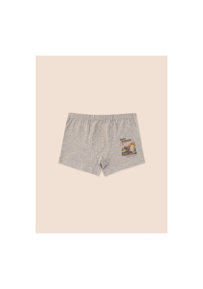 Natuline Erkek Çocuk Organik Pamuklu Likralı Boxer 3' Lü Hard Working 3507-3 Karışık