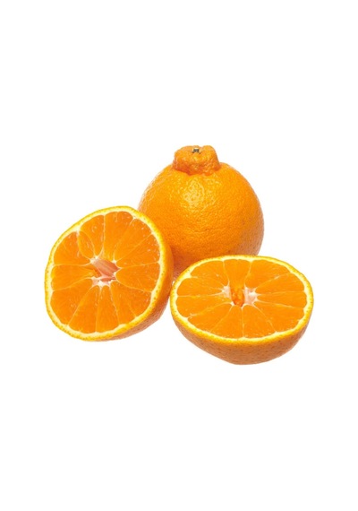 Tüplü Dekopon Mandalina Fidanı