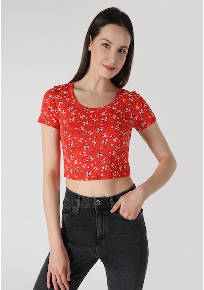 Colins Slim Fit Yuvarlak Yaka Çiçekli Kadın Kirmizi Kısa Kol Tişört Cl1063447 Q1.v2 Crl MERCAN