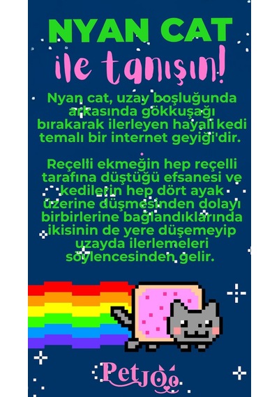 Petjoo 2.Nyan Cat Pembe-Yeşil Qr'lı Kedi Künyesi