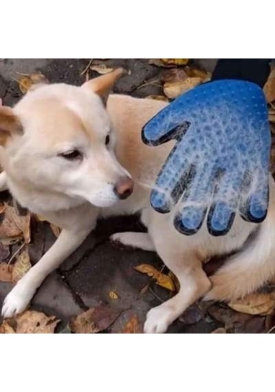 Kedi ve Köpek İçin Tüy Toplama Eldiveni