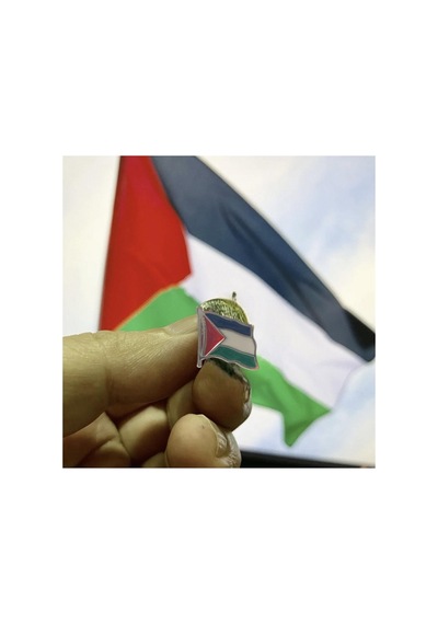Filistin Bayrağı Kudüs - Palestine Metal Yaka İğnesi Rozet Gümüş 5 Adet Çok Renkli