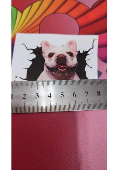 3d Hayvan Desenli French Köpek Figürlü Sticker Etiketi