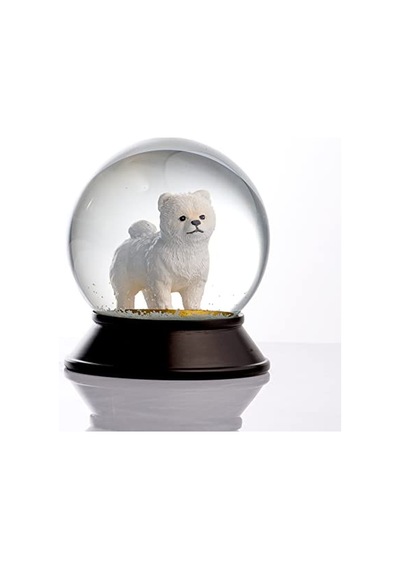 Ve Reçine Altın Patiler Köpek Pomeranian Boo Beyaz Kar Küresi Hediye Genel