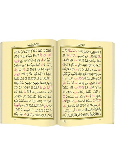 Hayrat Neşriyat Ahşap Kutulu Kur'An-I Kerim (0123 - Çanta Boy) N11.3790