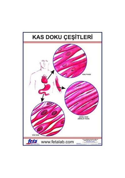 Kas Doku Eğitim Plakası