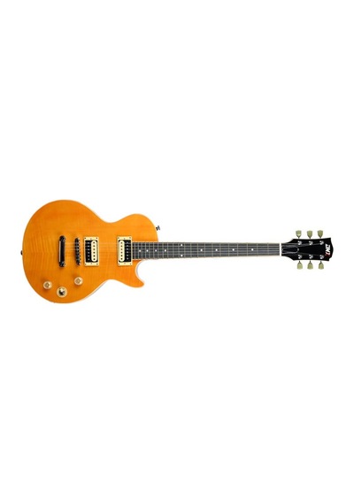 Dmx Guitars Dalp100 A Slash Afd Les Paul Elektro Gitar Taşıma Çantası Hediyeli