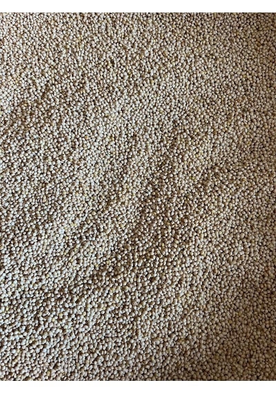 M.k. Yayla Tohumculuk Akdarı Muhabbet Kuşu Yemi 5 KG