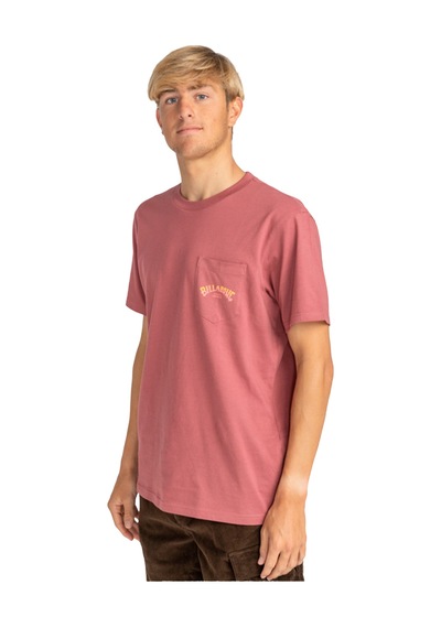 Billabong Stacked Arch Pk Tees Pembe Pembe