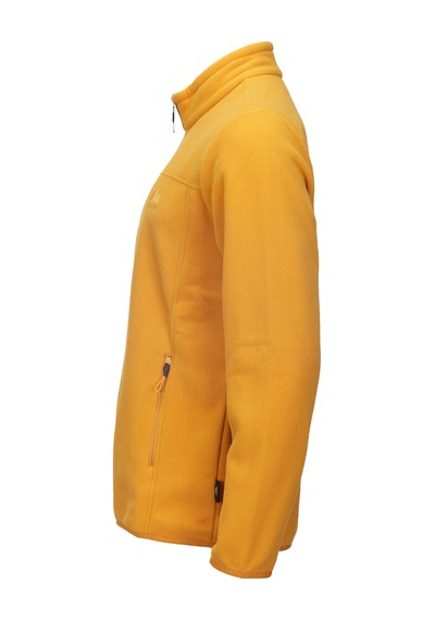 Alpinist Kentt Erkek Outdoor Polar HARDAL Karışık/Çok Renkli