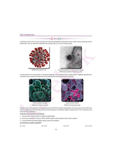 Karekök 2025-2026 Müfredat 8.sınıf Beceri Temelli Yeni Nesil Fen