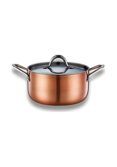 Brioni Copperfield İndiksüyon Derin Tencere 22 Cm Cpf131
