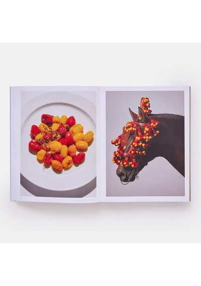 The River Cafe Look Book: Recipes For Kids Of All Ages