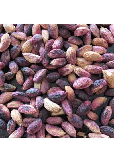 Fıstık Sepetim Ağaç Altı Kurutulmuş Kırmızı Kabuklu Antep Fıstığı 200 G