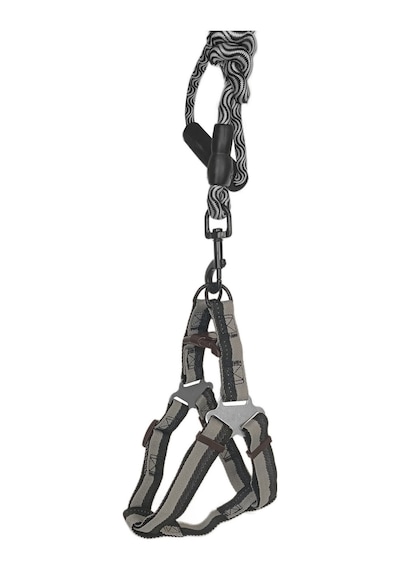 Köpek Göğüs Tasma Seti Dalga Desenli 1.5 Cm 35-48 Cm Siyah-beyaz Beyaz - Siyah