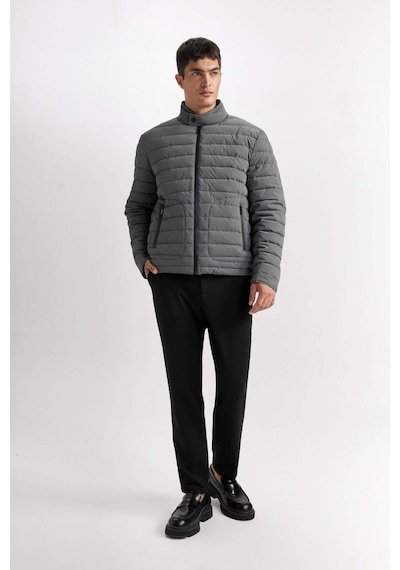 DeFacto Slim Fit Dar Kesim Dik Yaka Fermuarlı Mont D7497AX25SPGR221