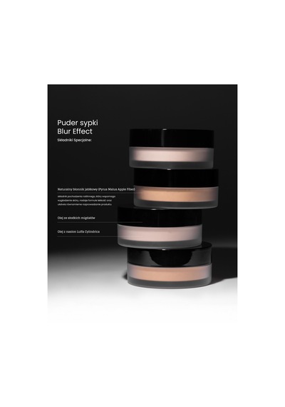 Inglot Blur Effect Loose Powder 73