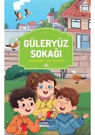 Güleryüz Sokağı 2 / Mustafa Ecevit