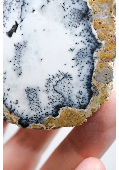 Dendritik Simya: Merlinit Dendritik Opal - Cilalı Çift