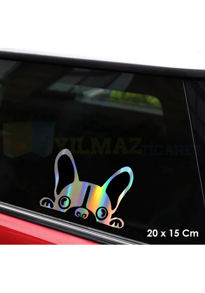Bakan Köpek Hologram Oto Sticker Etiket Yapıştırma Araba Çıkartma
