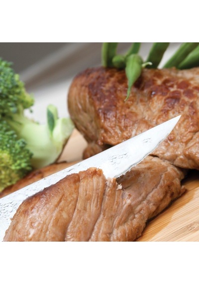 Essentials 6 Parça Steak Bıçak Seti Çok Renkli
