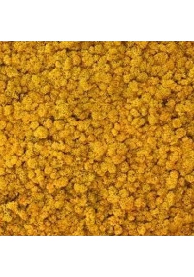 Reindeer Moss Hardal Şoklanmış Norveç Yosunu 30gr