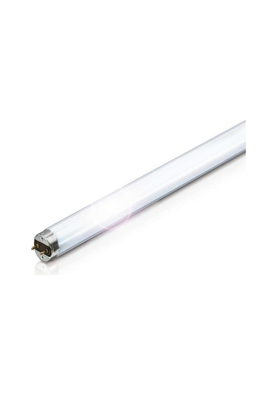 Philips 36 W T8 Floresan Ampul Snow White 120 CM 25 Adet