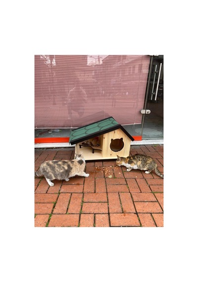 Kedi Yuvası Kedi Evi Özel Üretim İç Ve Dış Mekan Tırmalama Ve Mama Kablı 74x45 Cm