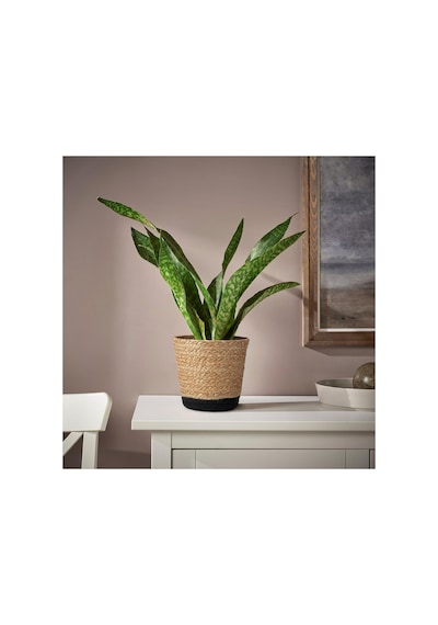 Rattan Saksı, Bej-siyah, 15 Cm, İç Mekan