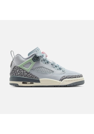 Nike Air Jordan Spizike Low Fq3950-401 Çok Renkli