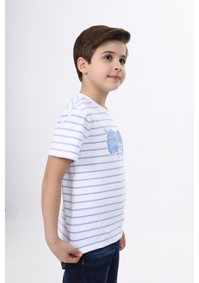 Toontoy Kids Toontoy Erkek Çocuk Baskılı Bisiklet Yaka Kısa Kollu Çizgili Tişört Mavi