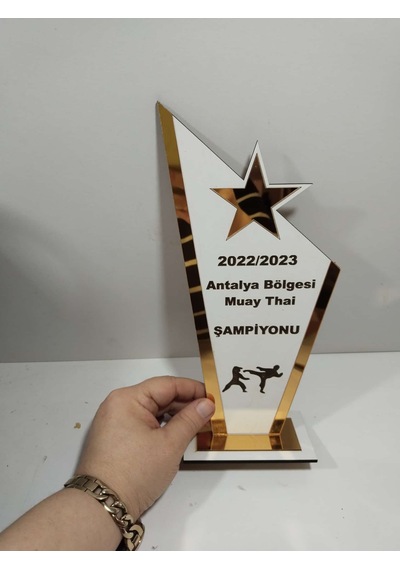 Plaket Karete/boks/judo/muay Thai Turnuvalarına Özel Altın