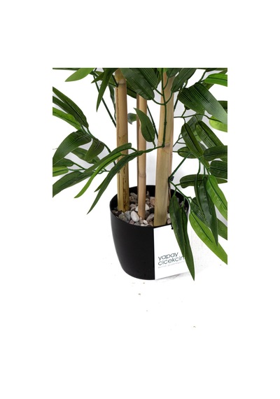 Yapay Çiçekçiniz Taş Detaylı Saksıda 60 Cm Yapay Bambu Ağacı H