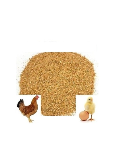 Misir Buğday Karişimi Özel Yem Tavuk - Hindi - Ördek - Güvercin 3  Kilo