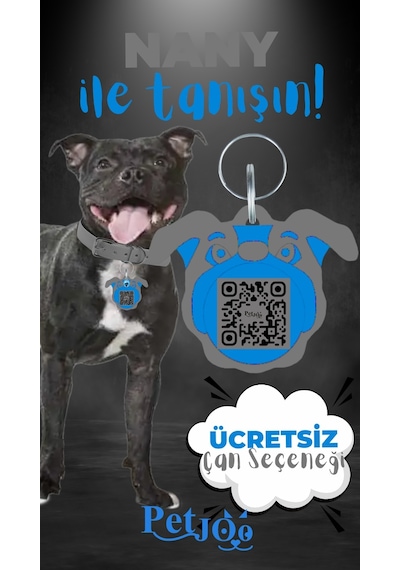 Petjoo 17.Nany Mavi-Gri Qr'lı Köpek Künyesi
