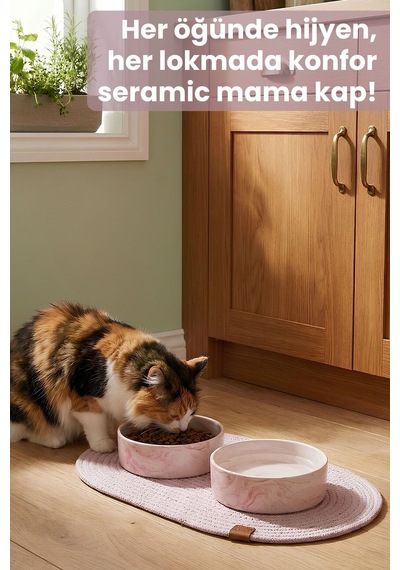 2'li Seramik Paspaslı Mama Kabı Pembe-kaymaz Tabanlı Kedi Köpek Mama Ve Su Kabı