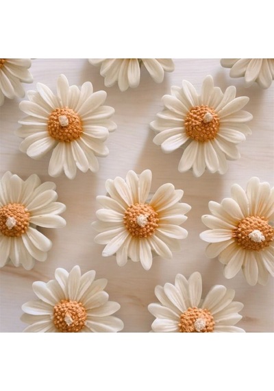 Bernami Mumluk Şamdanpinterest Papatya Mum - 3 Adet Diğer