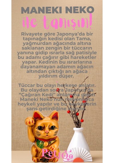 Petjoo 4.Maneki Neko Pembe-Gri Qr'lı Kedi Künyesi