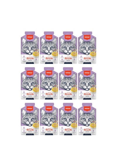 Wanpy Kedi Çorba Ördek X 12