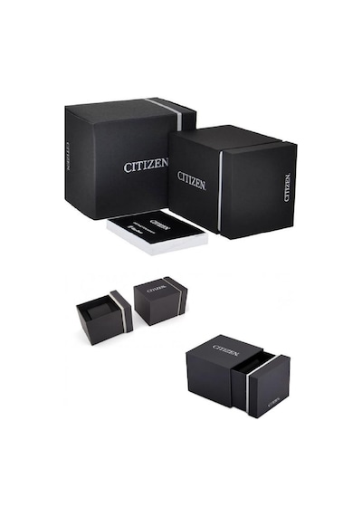 Citizen AW1524-84E Erkek Kol Saati