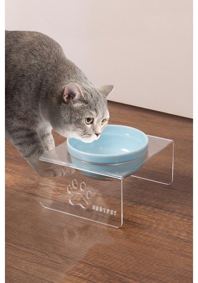 Kedi ve Köpek Dekoratif Seramik Pleksi Mama & Su Kabı