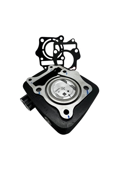 Tvs Raider 125 Silindir Komple