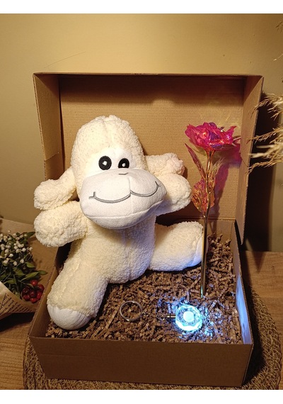 Kutulu Hediye Seti / Peluş Kuzu 24cm - Renk Değiştiren Işıklı Anahtarlık - Sonsuzluk Gülü
