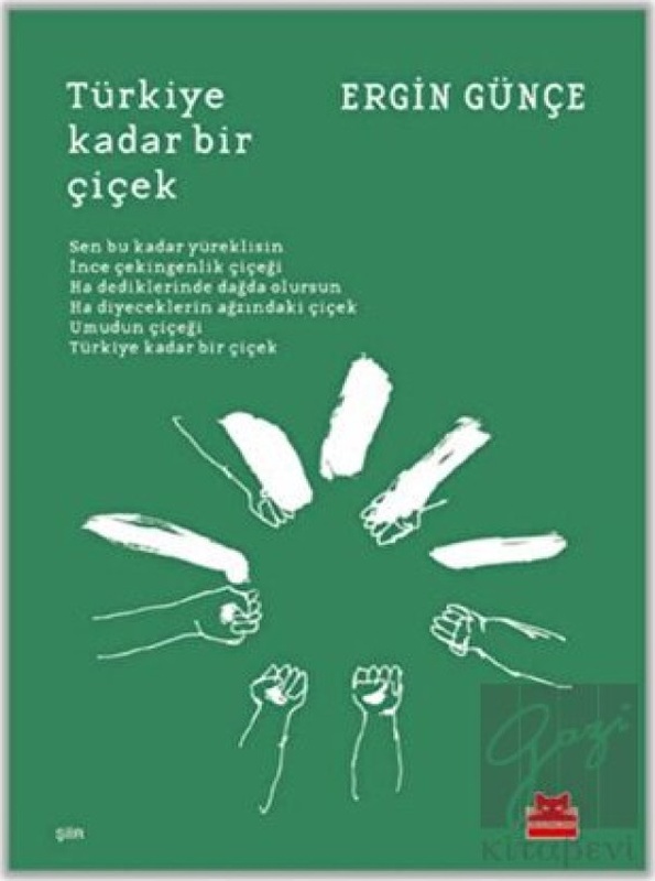 Türkiye Kadar Bir Çiçek - Ergin Günçe - Kırmızı Kedi
