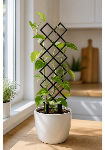 Arliadesign Kare Desenli Saksı Bitki Destek Çubuğu 10 40 Cm Siyah Mdf Sarmaşık Desteği Tekli