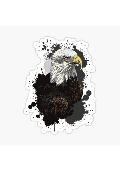 Araba Için Kartal Oto Sticker Yapıştırması Etiket 17Cm Zz5